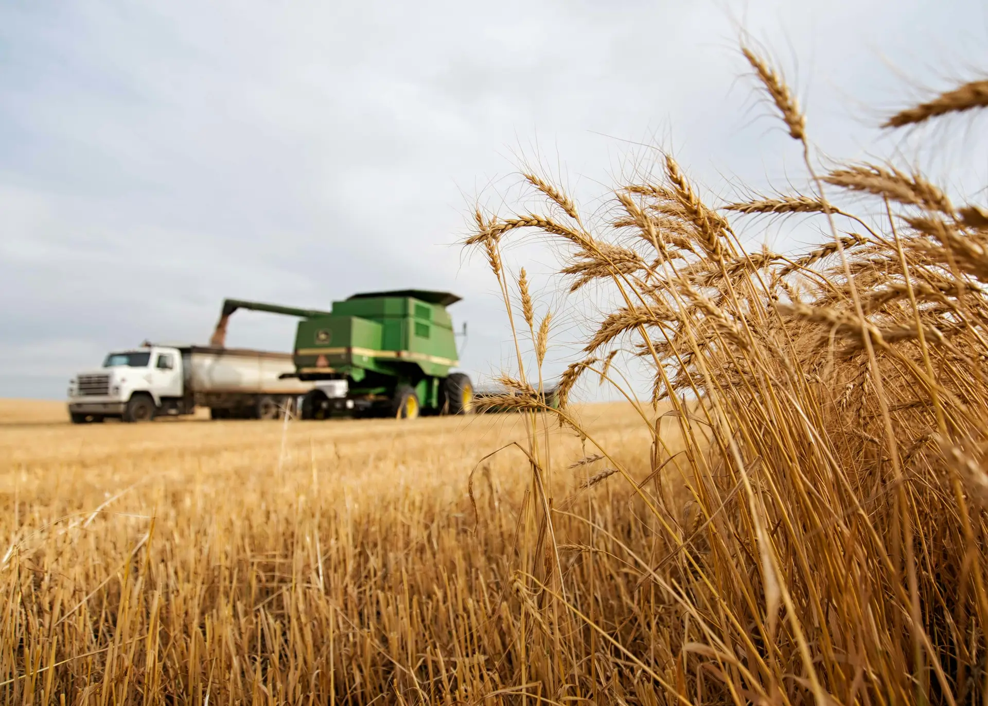 combine-harvester